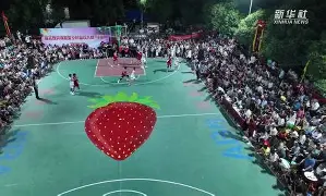 欧博中国官网-篮球个人技巧赛规则